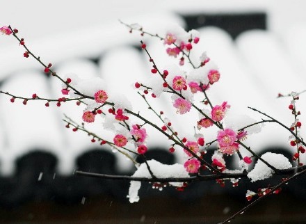 荨麻疹皮肤瘙痒警惕4种疾病,麻疹痒是什么原因引起的