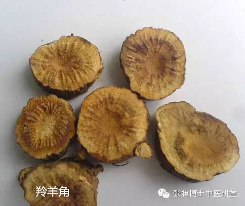 肝火旺吃羚羊角粉有用吗,羚羊角清肝明目吗