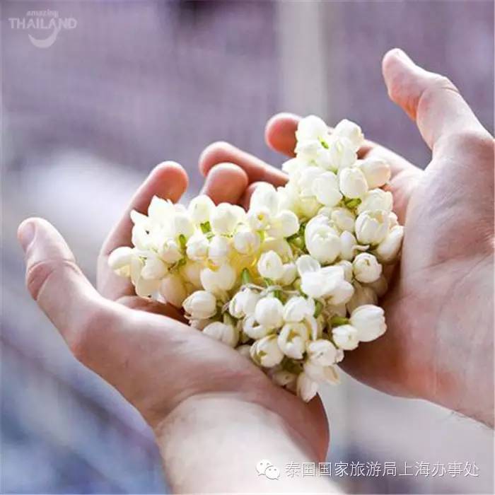 泰会讲|你会用泰语感谢母亲吗?