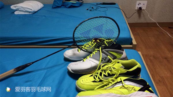 羽毛球林丹十佳球,林丹羽球历程