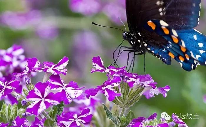 平潭,向全世界发出邀请