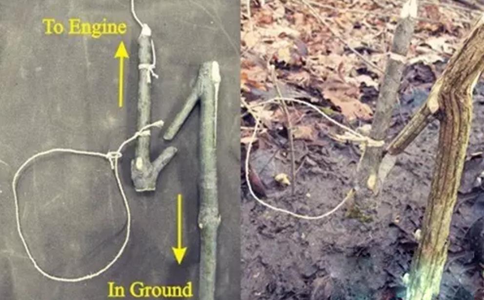 野外生存diy教你制作捕捉陷阱,野外求生陷阱简单大全