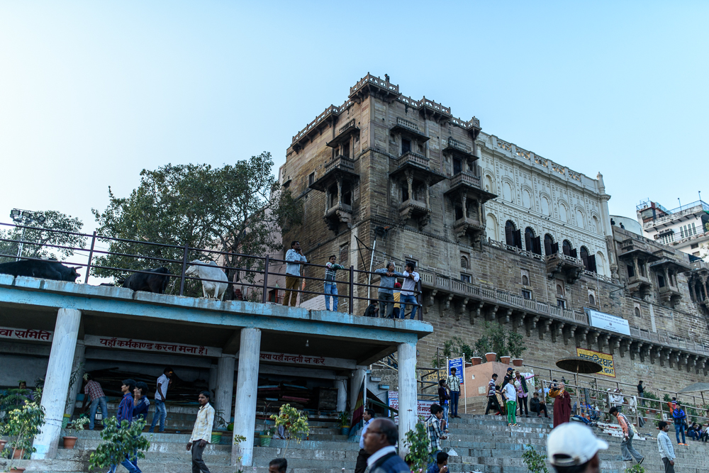 走去哪里粤语,去哪走天竺