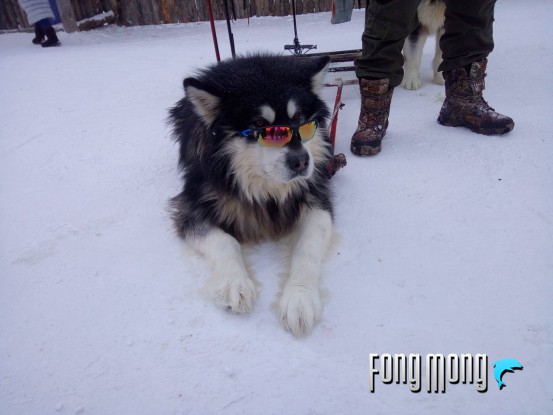 蓝魔mos1max,蓝魔mos1尺寸