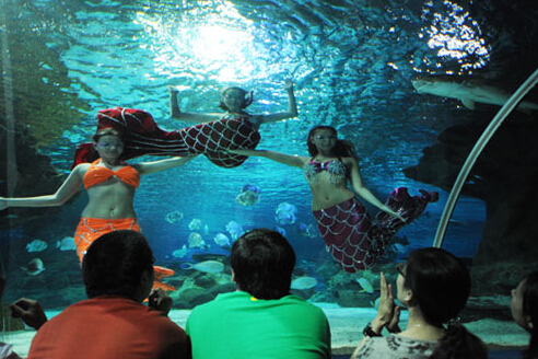 寒假北京亲子游,北京免费亲子游景点