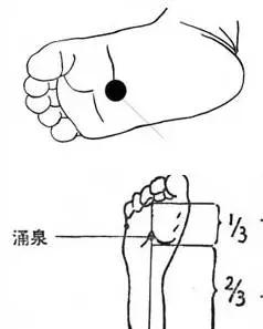 身上的降压穴位图,身上有哪几个降压穴