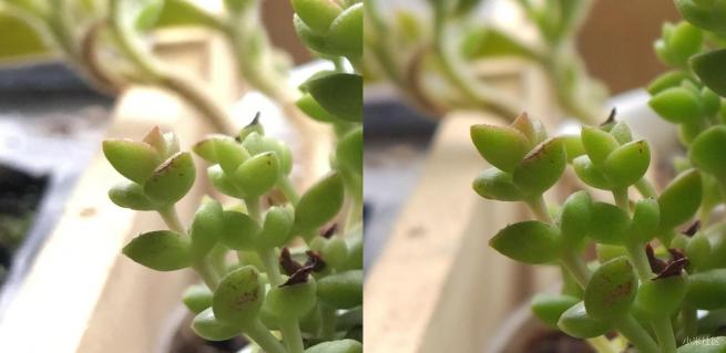 小米5拍照清晰,小米5拍照模糊是什么原因