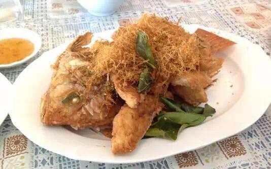 泰国清迈美食攻略,清迈马杀鸡店名推荐