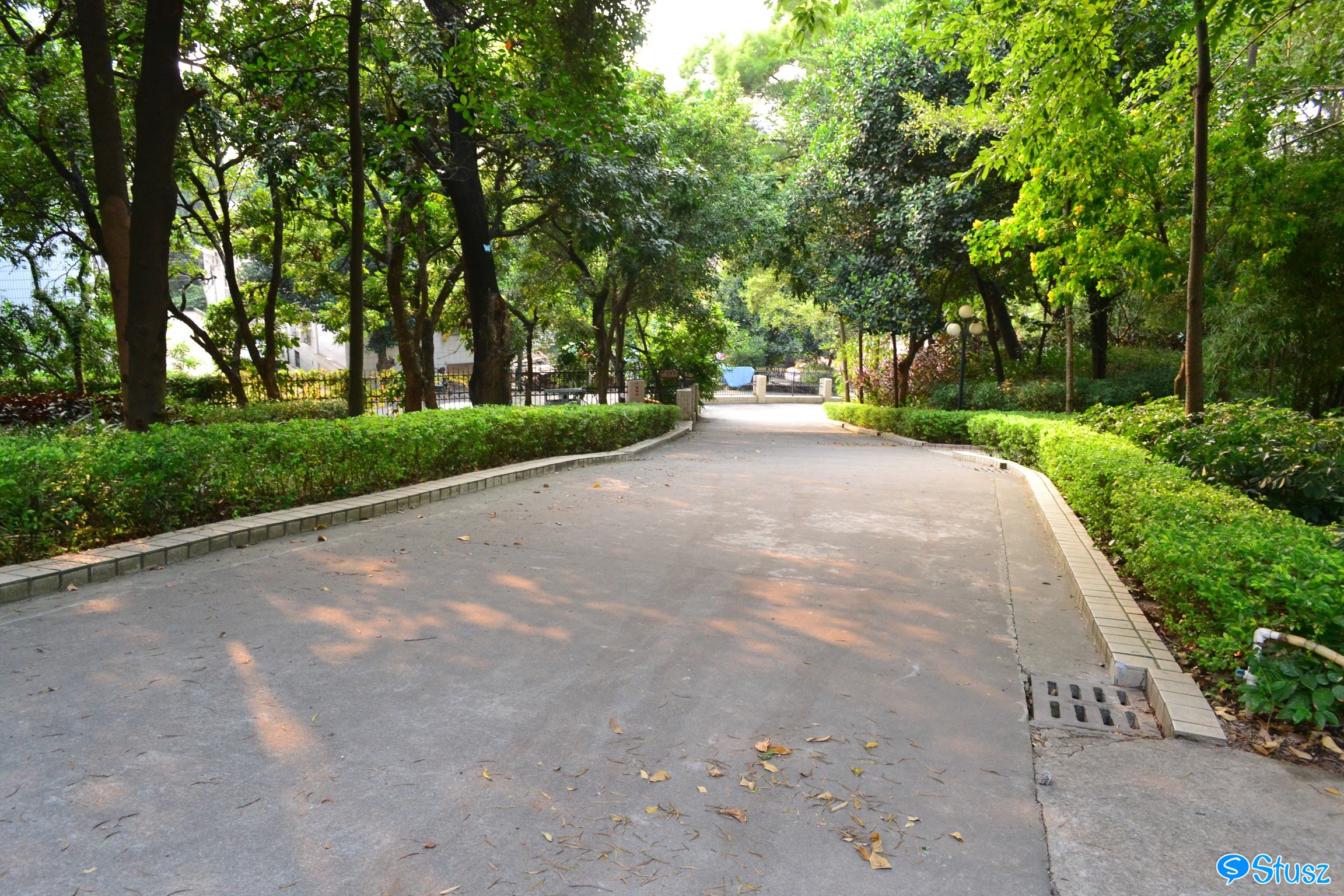 Stusz独家：观澜中学，现代化的百年老校