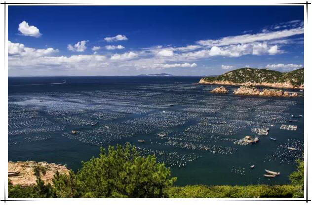 关于东方小希腊枸杞岛的一日游记 (嵊泗枸杞岛一日游攻略)