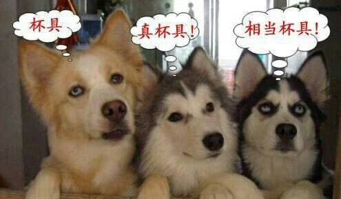 狂言nba什么时候开始的,狂言nba艾弗森