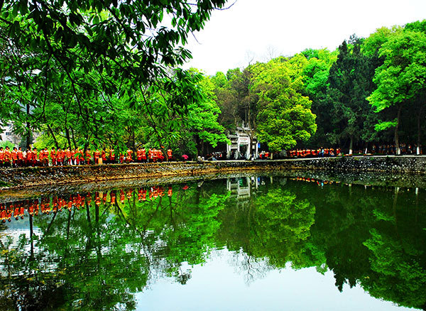 循香识味赏景尝鲜|看,鄂西北的山珍催促着我们追寻食物的脚步