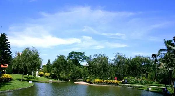 上海内环十大公园,上海黄浦公园风景