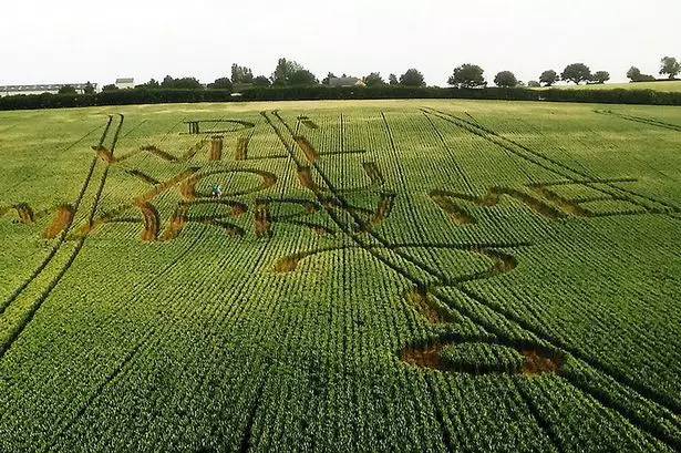 请求大家帮忙支招,求婚的100种方式合集