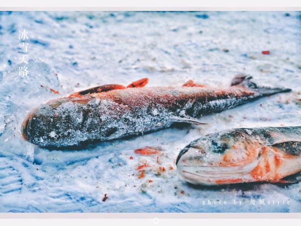 牧马少年歌曲完整版,牧马少年草原