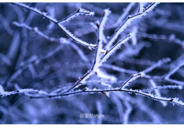 牧马少年歌曲完整版,牧马少年草原