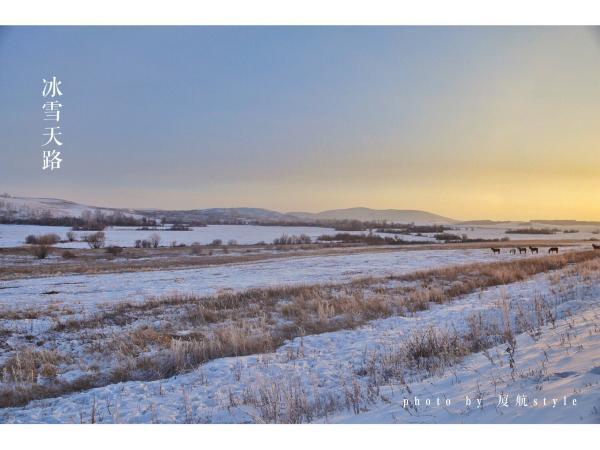 牧马少年歌曲完整版,牧马少年草原