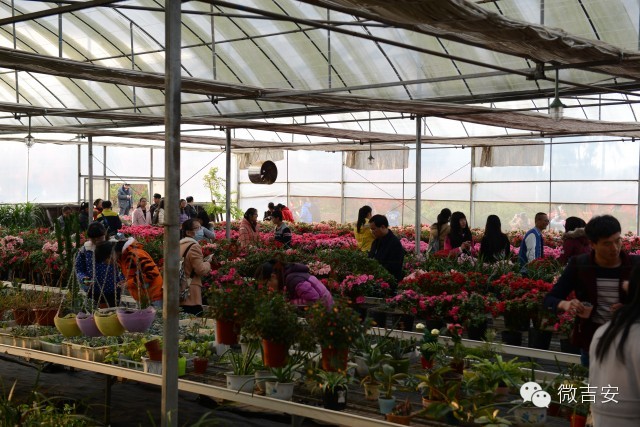 井冈山大学映山红开园啦还不快约起？