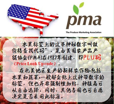 智利的车厘子是不是樱桃,智利车厘子真假鉴别方法