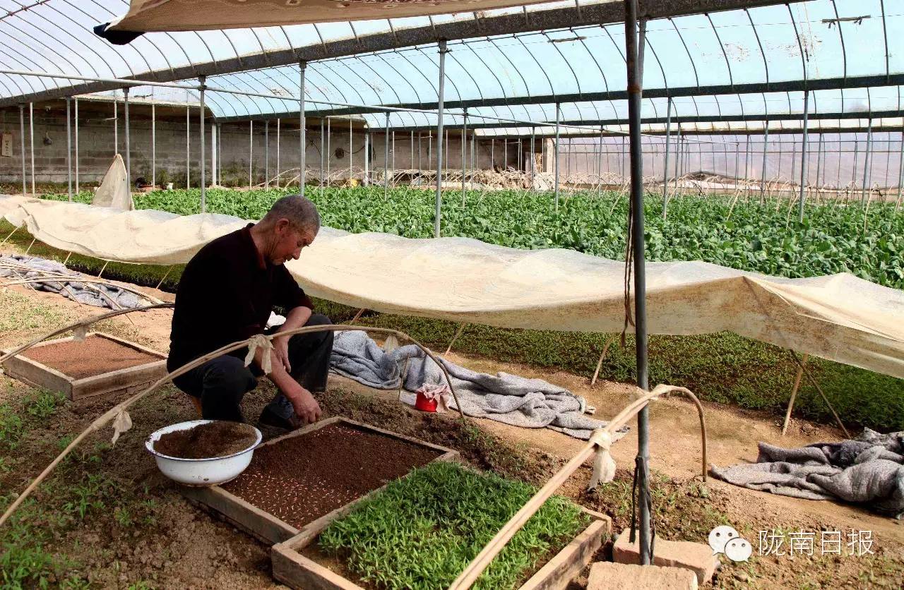 新闻资讯我县春耕春播热火朝天,春耕忙新闻