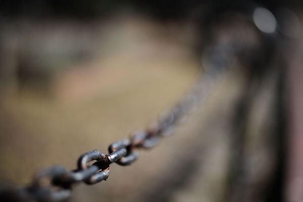 画质最好的第一视角相机,蔡司milvus1002评测