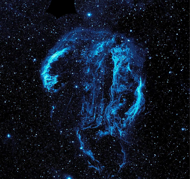 宇宙巨型生命体,宇宙实际上是一个细胞