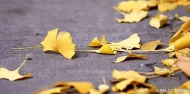 处暑到了这些养生知识要牢记,处暑养生有四原则这些食物可常吃