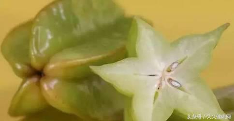 处暑养生吃鸭和鹅的功效一样吗,处暑节气的传统习俗及养生攻略