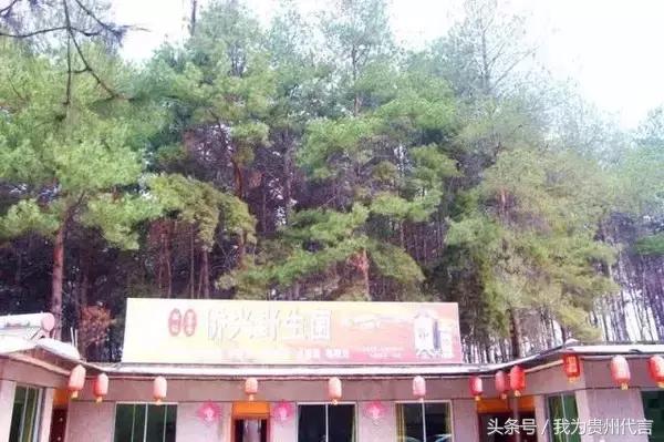 贵阳十大农家乐景点推荐,贵阳休闲农庄