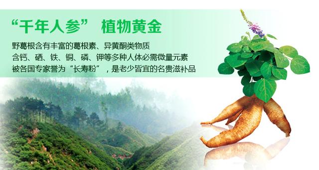 什么食物对软化心脑血管有好处,老年人心脑血管最怕的4种食物