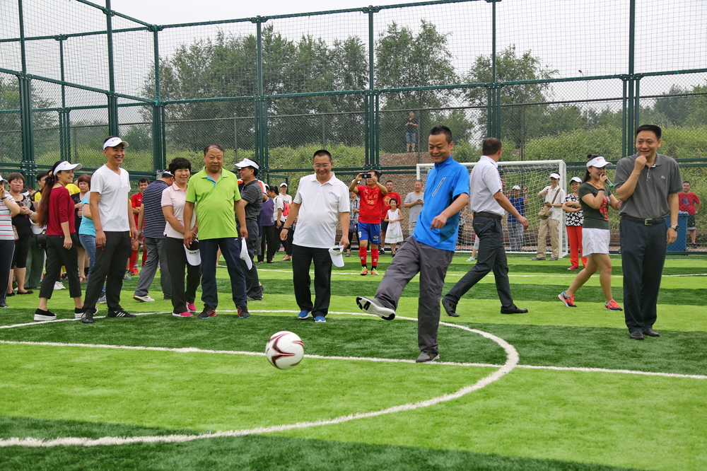 新建11人制标准足球场,丰台体育中心笼式足球场