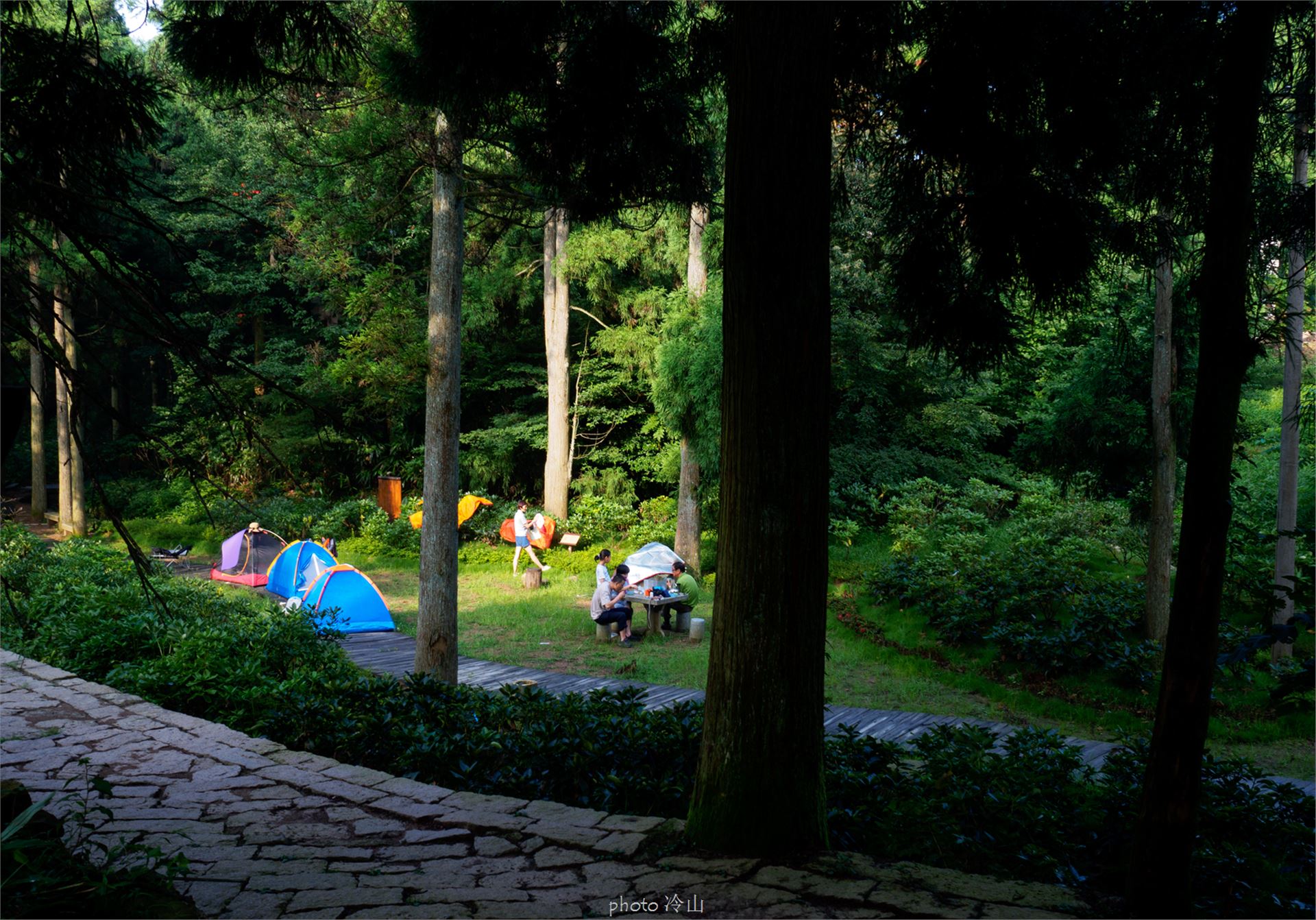 华顶千年杜鹃林,天台山石梁瀑布华顶杜鹃