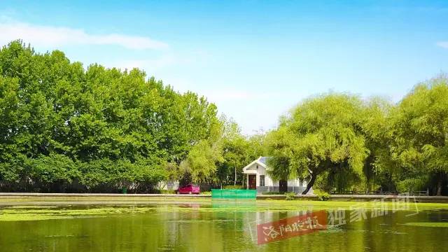 洛阳新增游园,洛阳正在建设的新景区