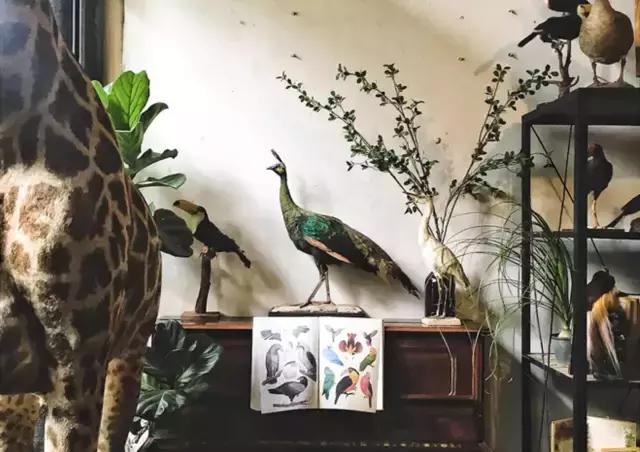 种草｜七夕礼物清单