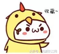 kfc秘密配方,kfc配方大公开