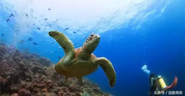 这十个海岛随便选一个都能让你着迷