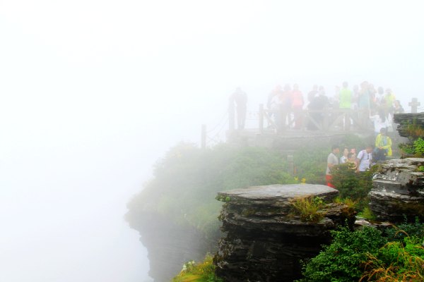 天天有人去山上采蘑菇,每天来观看的游客上万人
