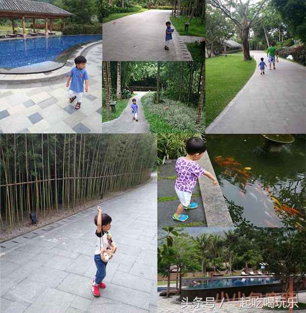 带宝宝长隆野生动物园旅游攻略,广州长隆野生动物园旅游攻略