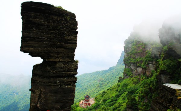 天天有人去山上采蘑菇,每天来观看的游客上万人