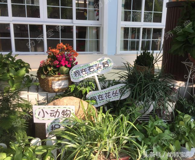 自然角创设分布图,自然角布置幼儿园