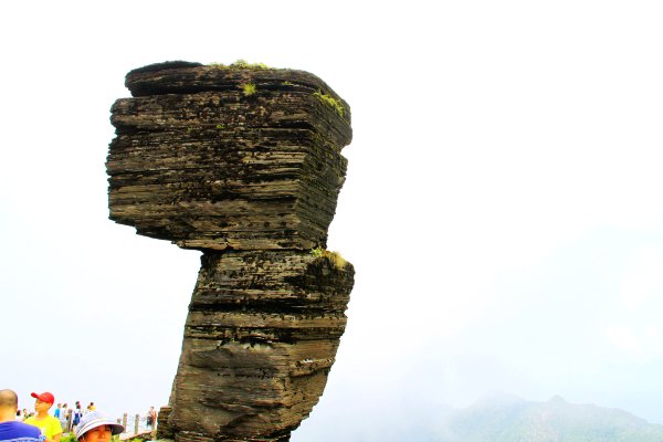 天天有人去山上采蘑菇,每天来观看的游客上万人