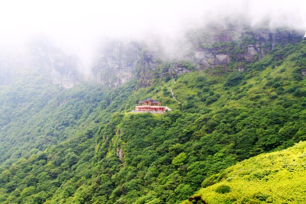 天天有人去山上采蘑菇,每天来观看的游客上万人