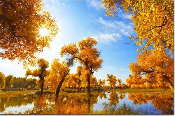 三千年的情缘，三千年的企盼只为这一季的金秋（附攻略）