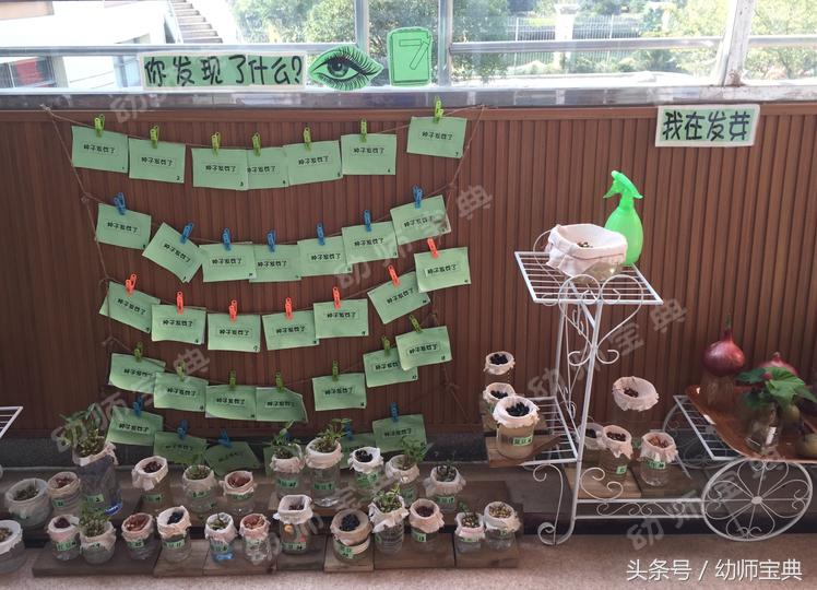 自然角创设分布图,自然角布置幼儿园