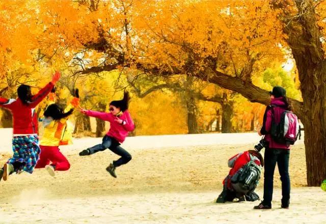 三千年的情缘,三千年的企盼只为这一季的金秋(附攻略)