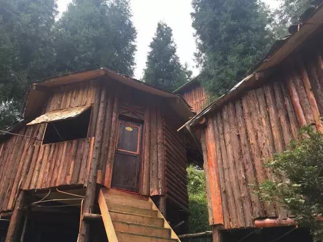 南宝山免费露营耍水,南宝山林海营地有什么耍的