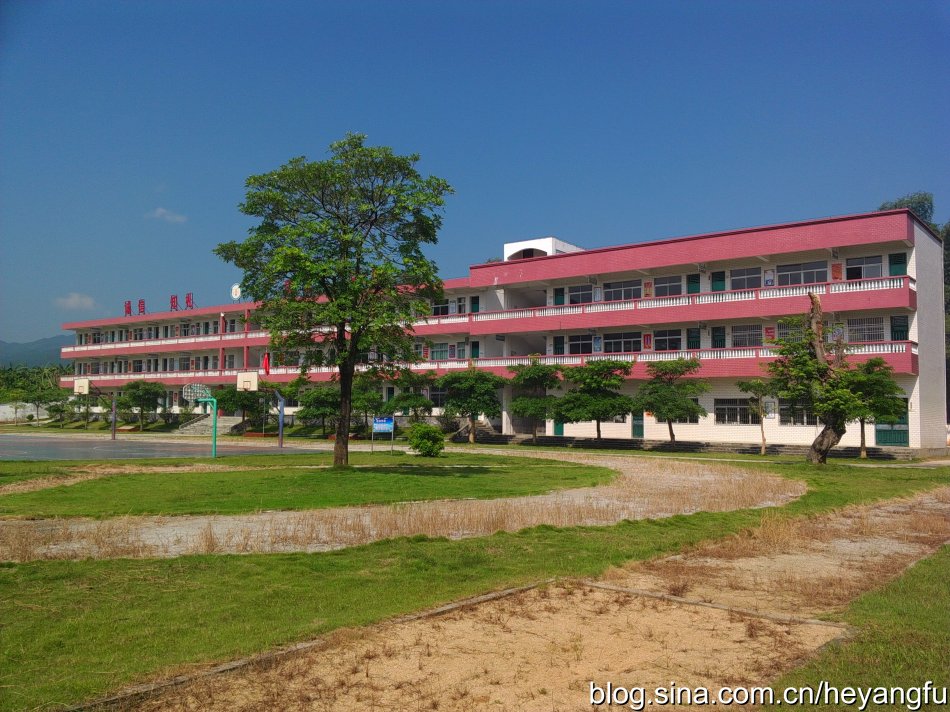 德庆县第一小学简介,德庆县九龙小学