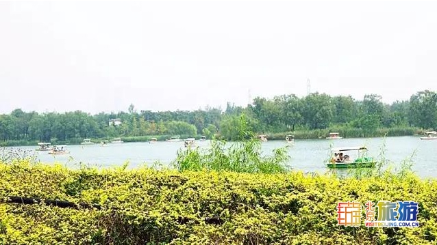 京城最大郊野公园，不仅免费，还藏了好多不为人知的秘密！