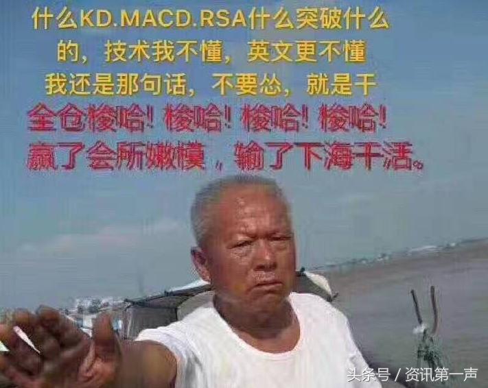 中国最牛散户王素芳,王素芳炒股13亿