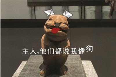 哎哟不错哦！杭州当下展览大集合，卖萌惊艳统统有！